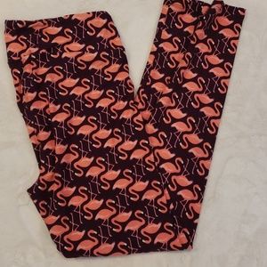 Lularoe tc purple flamingo leggings